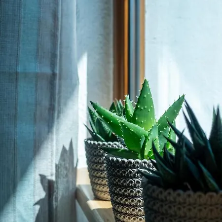 Our House سوزوبول